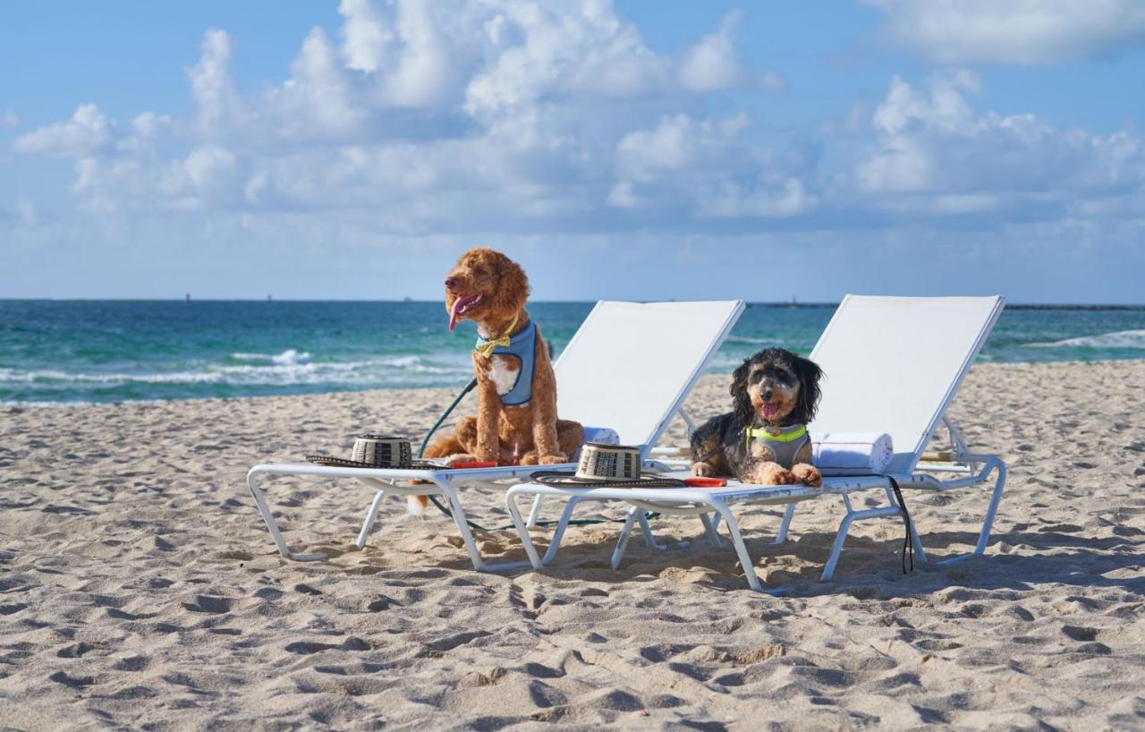 The Balfour Hotel Miami Beach Luaran gambar
